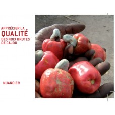 RONGEAD's RCN Quality Checker (2010) - French only